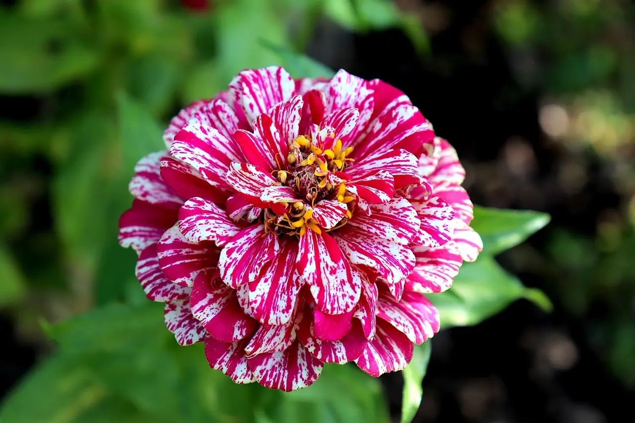 8 teknikker til flot marmoreret papir