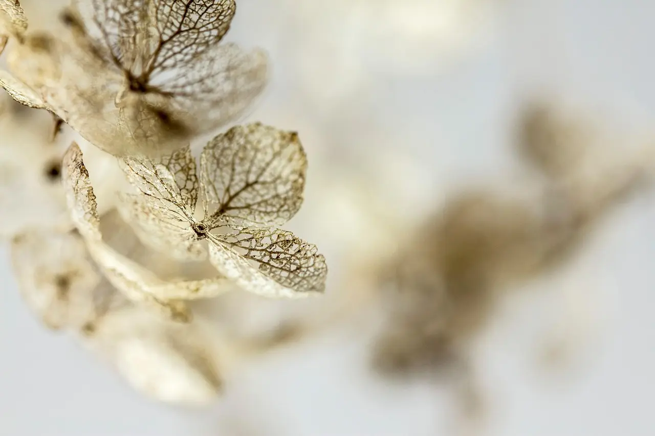 Sådan laver du vokssegl med tørrede blomster til kort