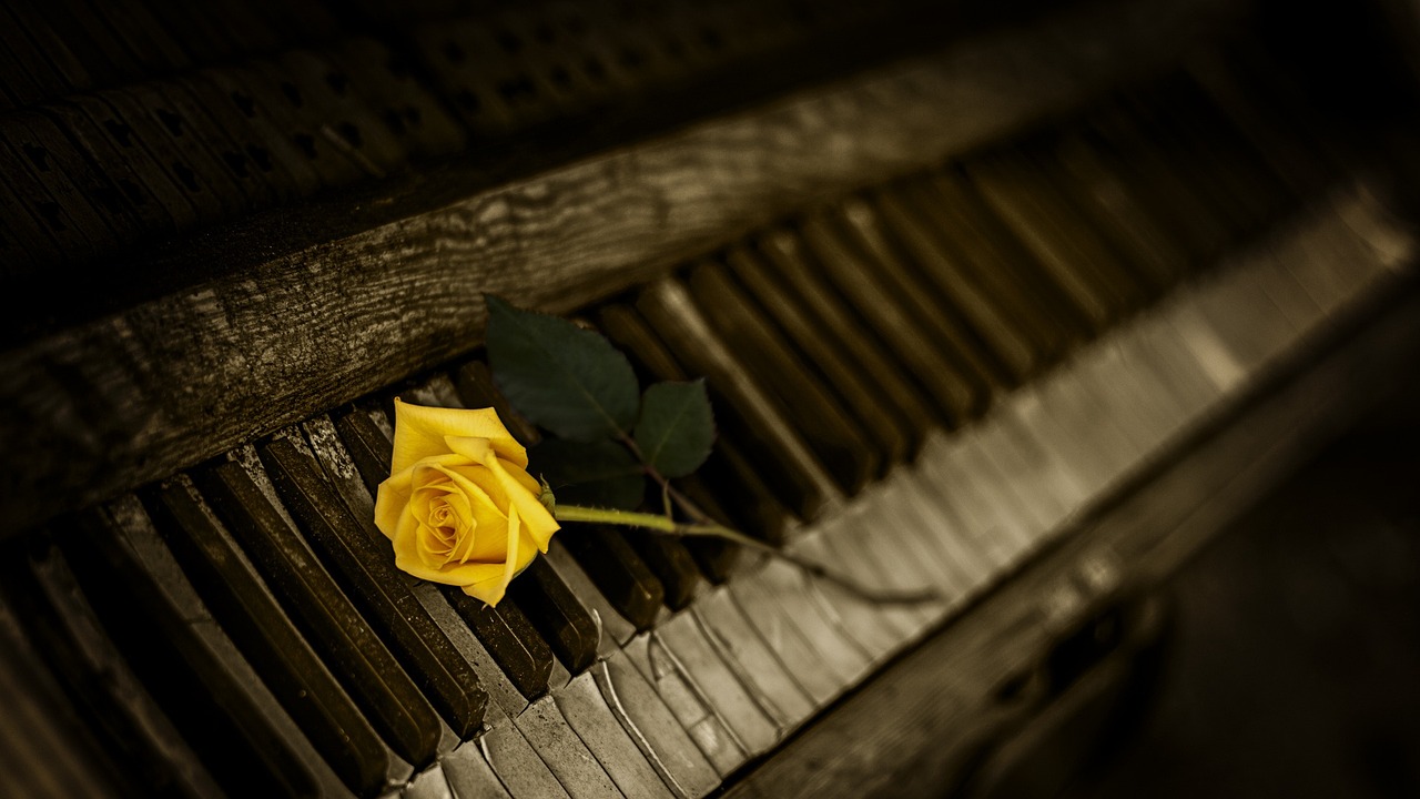 Organ Krydsord