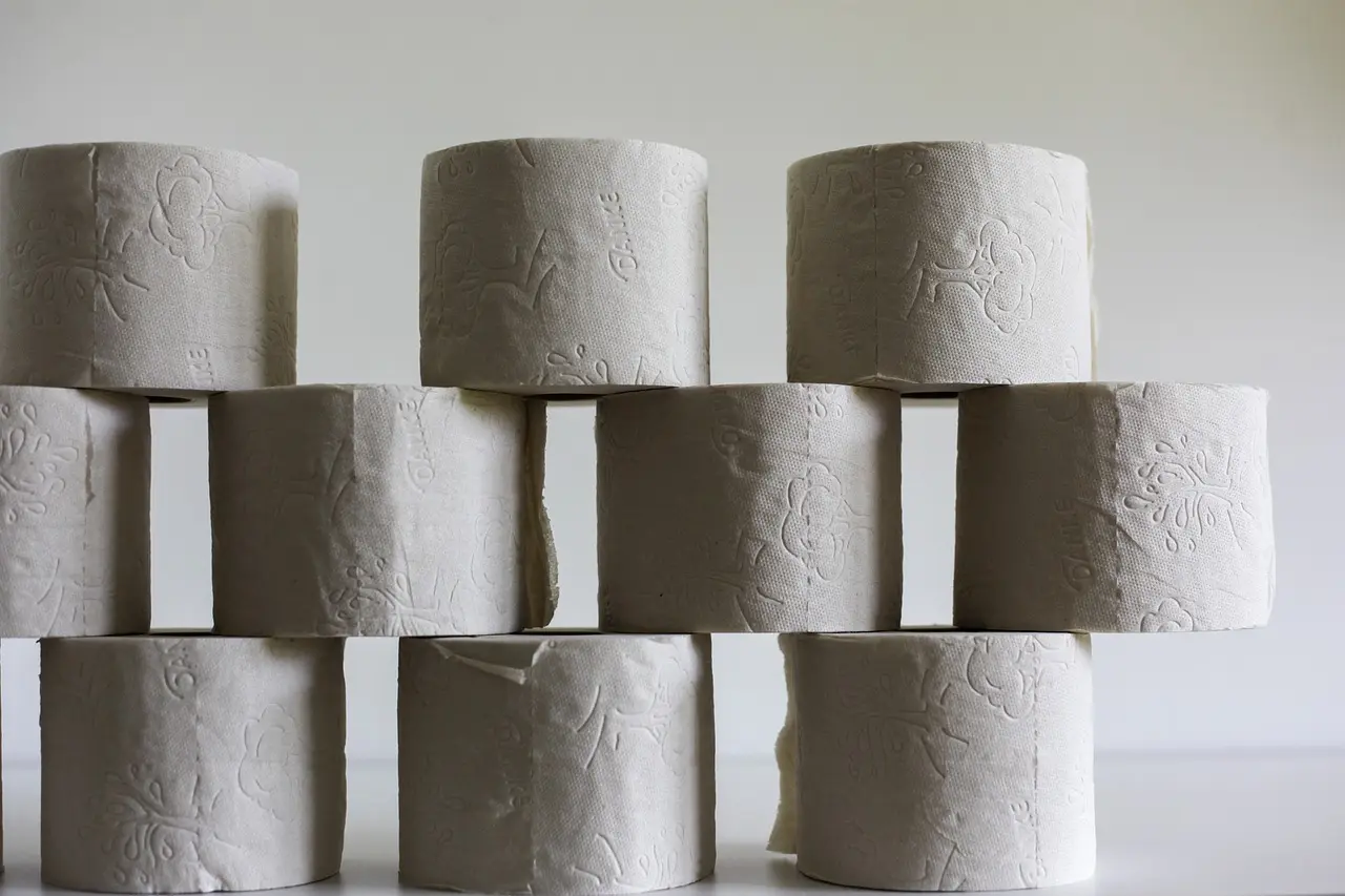 9 kreative projekter med tomme toiletruller